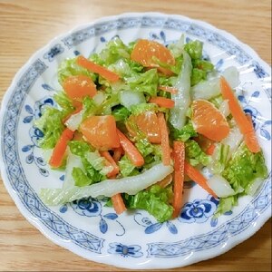 夏みかん入り☆白菜の千切りサラダ